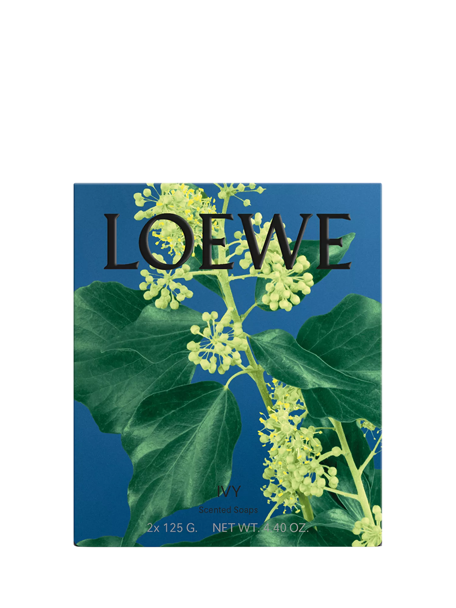 LOEWE Solid Soap Duo Set Ivy 250g - British product