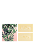 LOEWE Oregano soap duo 250g, imported from the UK