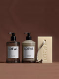 Loewe Oregano body lotion 360ml, imported from the UK
