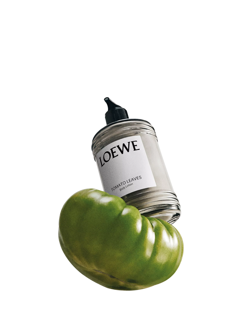 LOEWE Tomato Leaves body lotion 360ml bottle, UK version