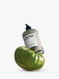 LOEWE Tomato Leaves body lotion 360ml bottle, UK version