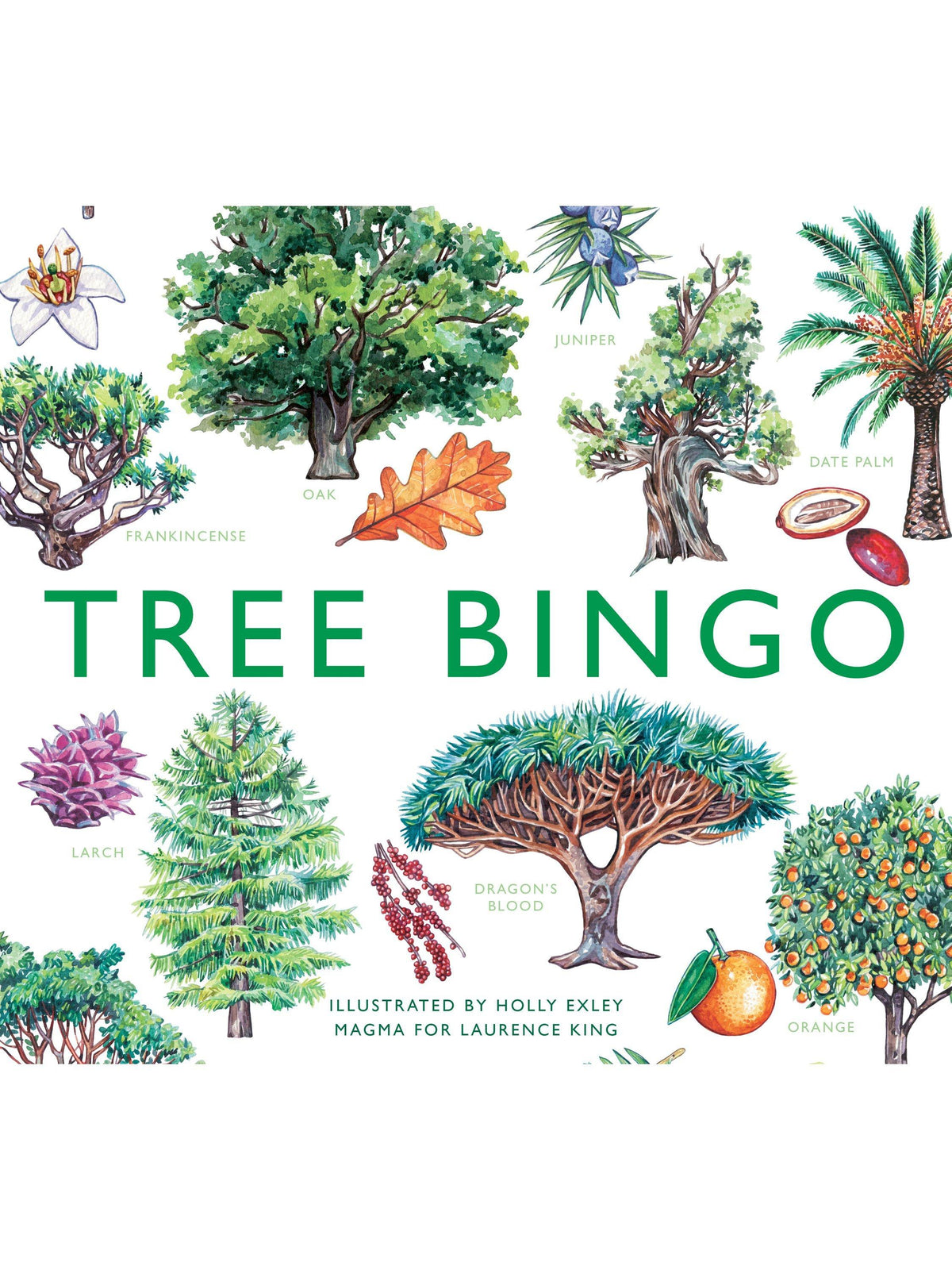 Educational Tree Bingo Game with 64 Tree Species and Informative Booklet