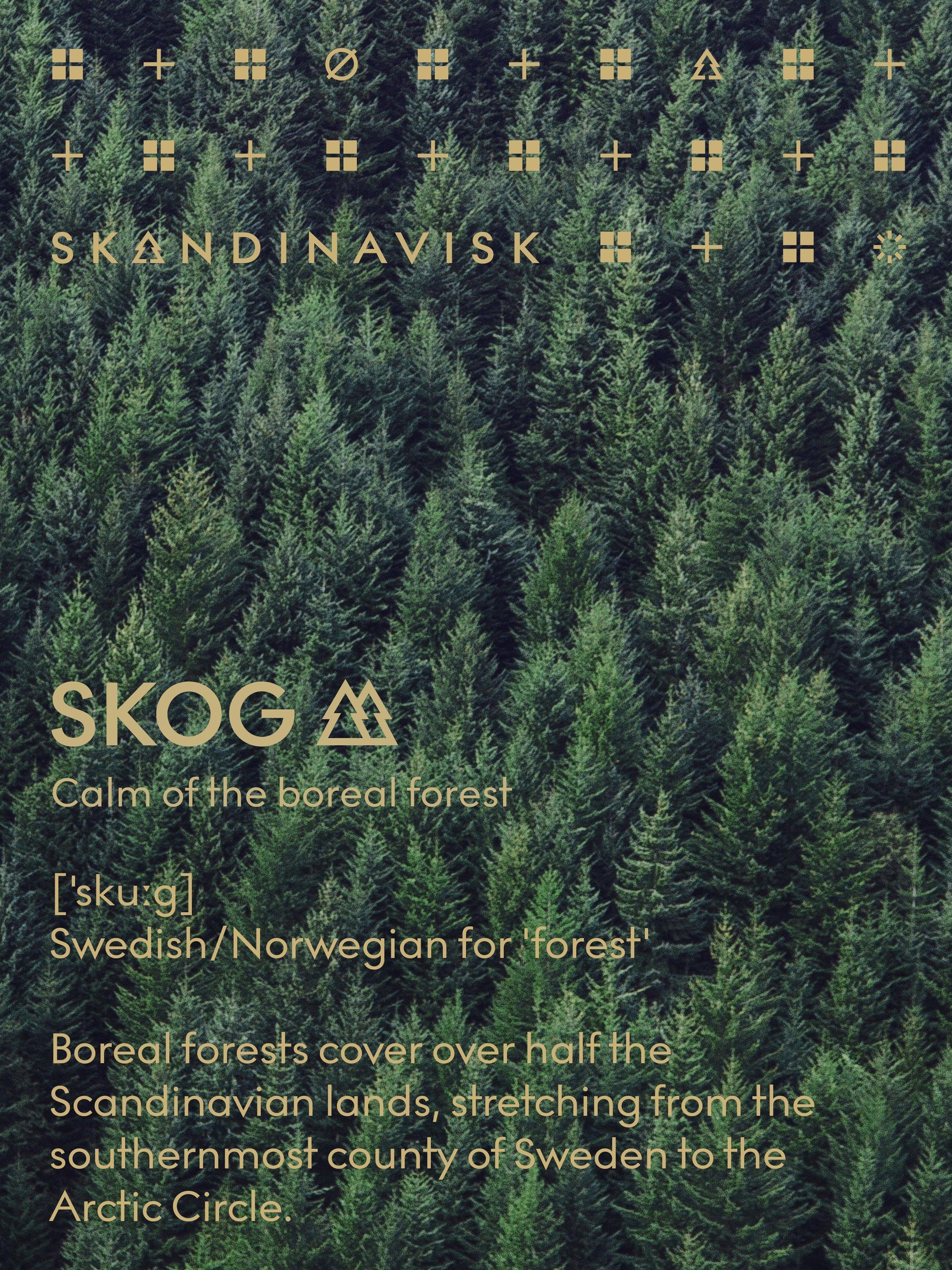 SKANDINAVISK Skog two-wick scented candle 350g, UK version