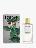 LOEWE Honeysuckle room spray 150ml, imported from the UK