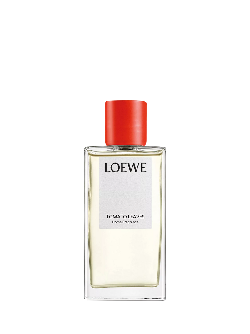 LOEWE Tomato Leaves home fragrance room spray 150ml, UK version