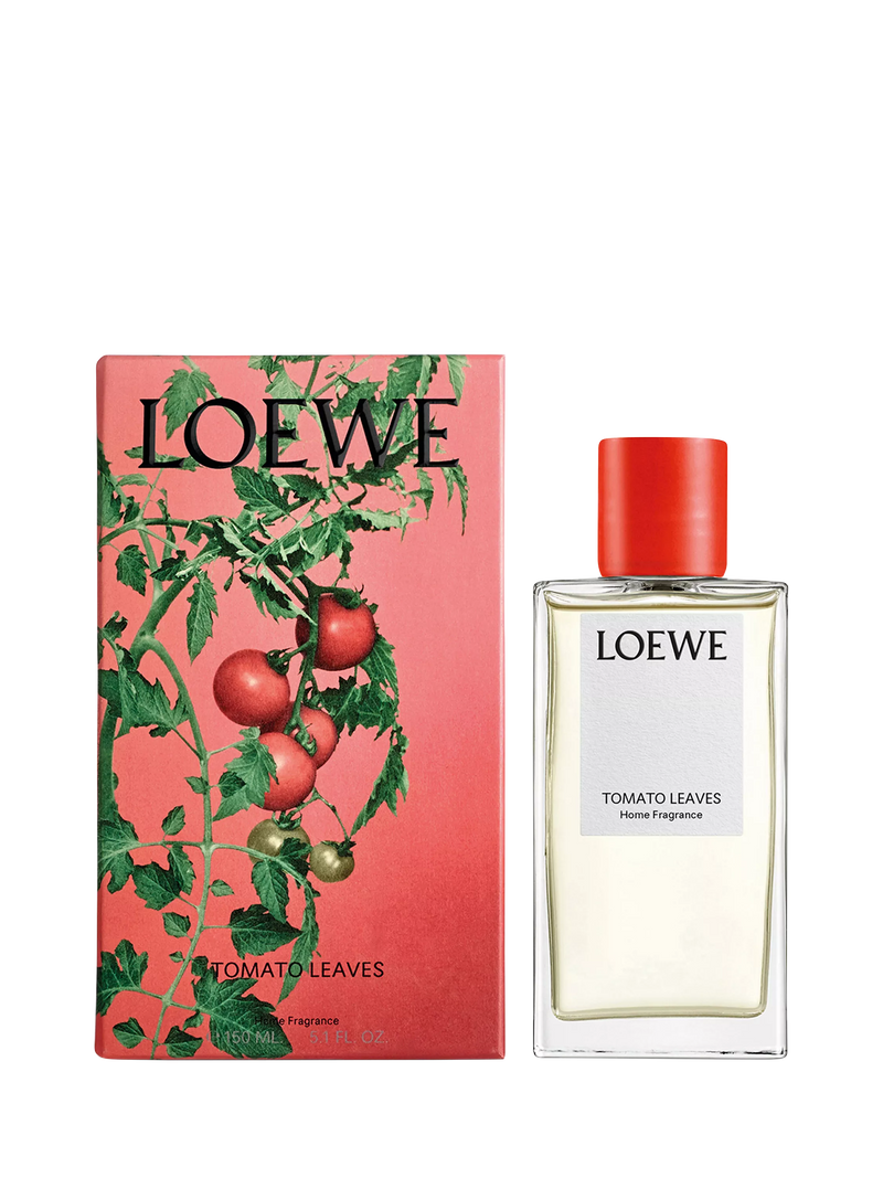 LOEWE Tomato Leaves home fragrance room spray 150ml, UK version