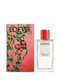 LOEWE Tomato Leaves home fragrance room spray 150ml, UK version