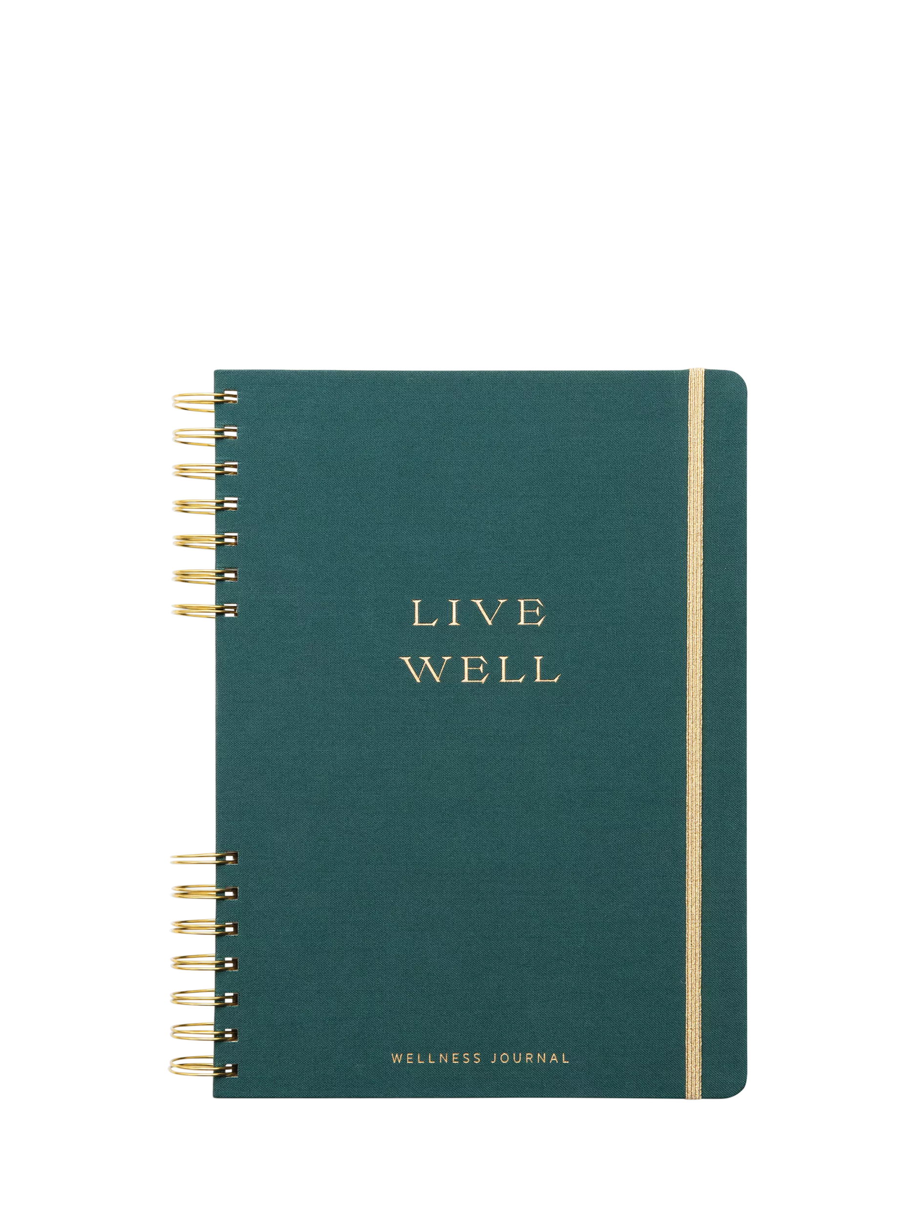 DesignWorks Ink Live Well notebook medium with 200 pages - British product