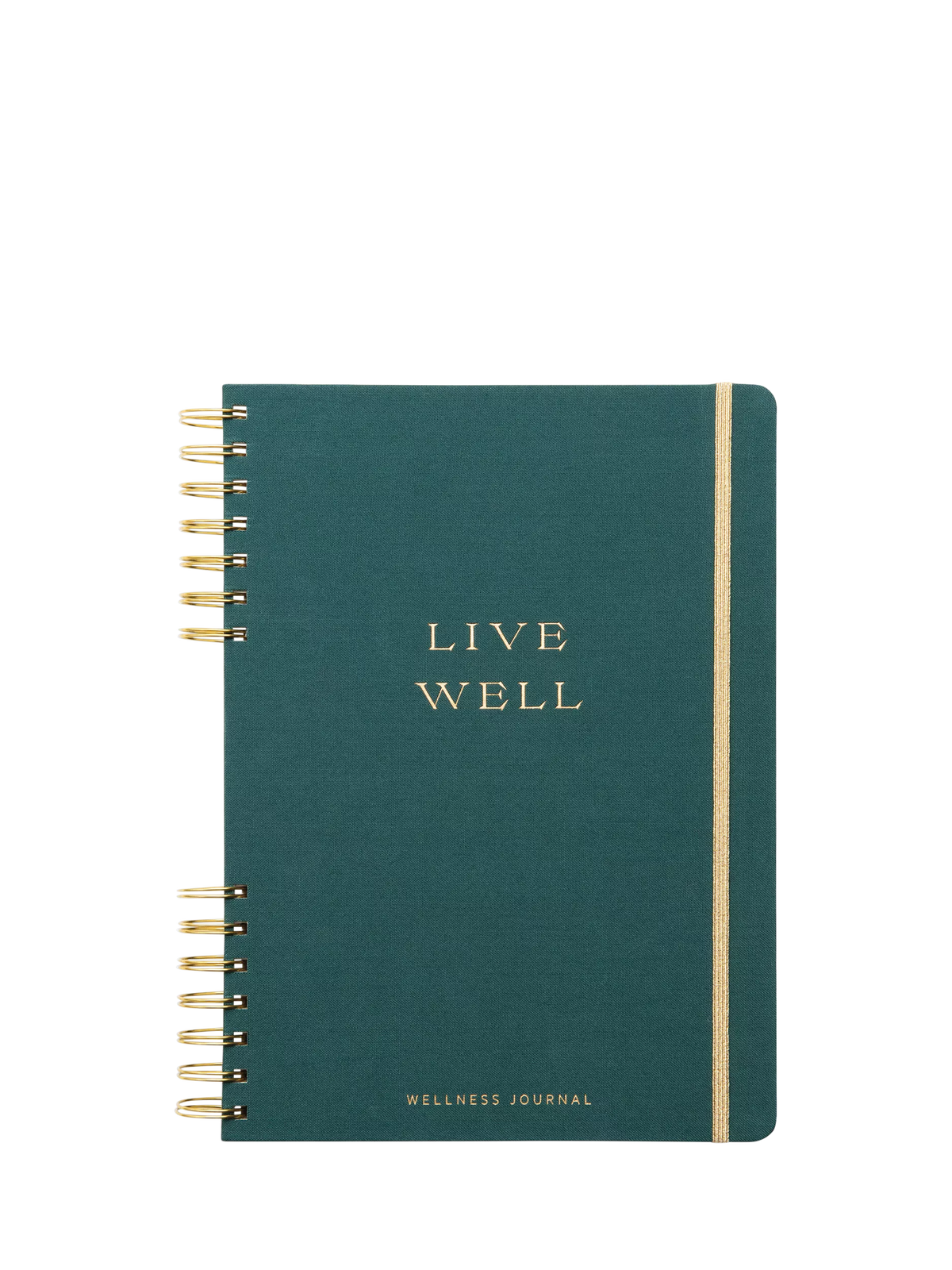 DesignWorks Ink Live Well notebook medium with 200 pages - British product