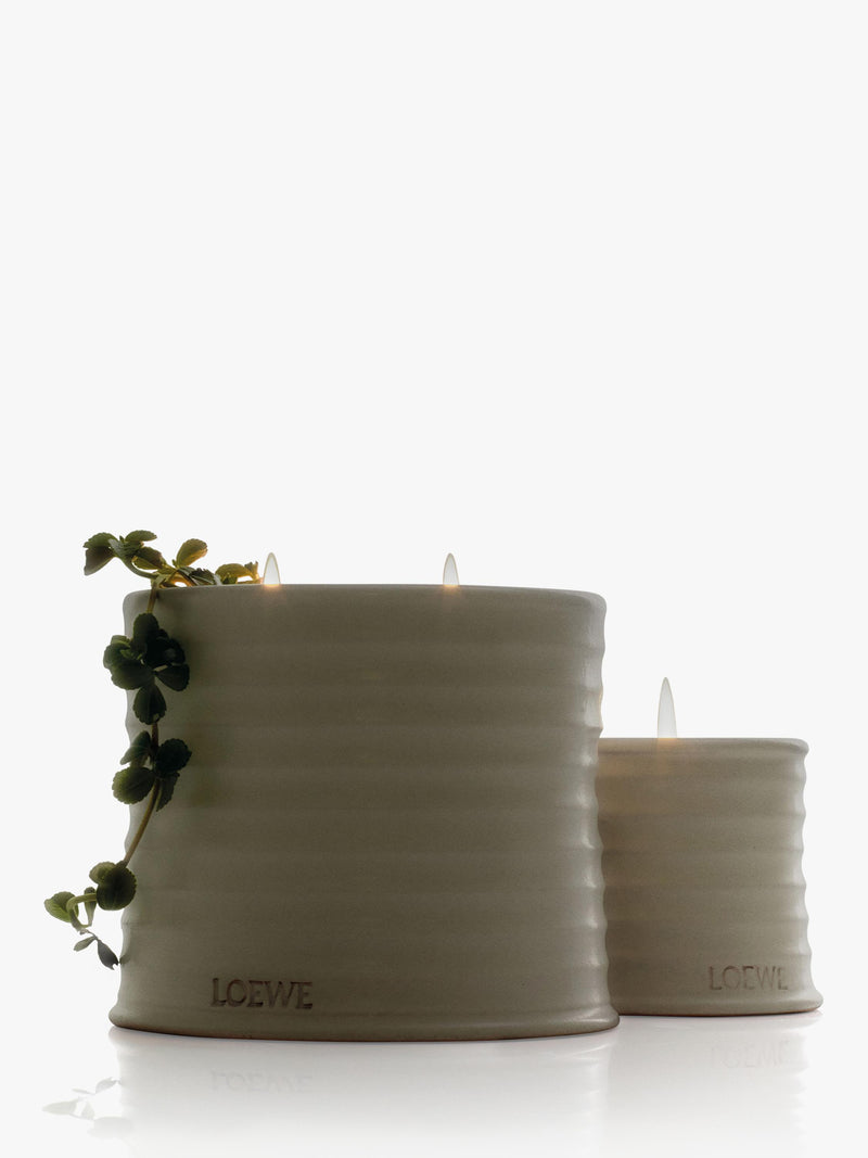 LOEWE Oregano Duftkerze 2120g - Britisches Produkt