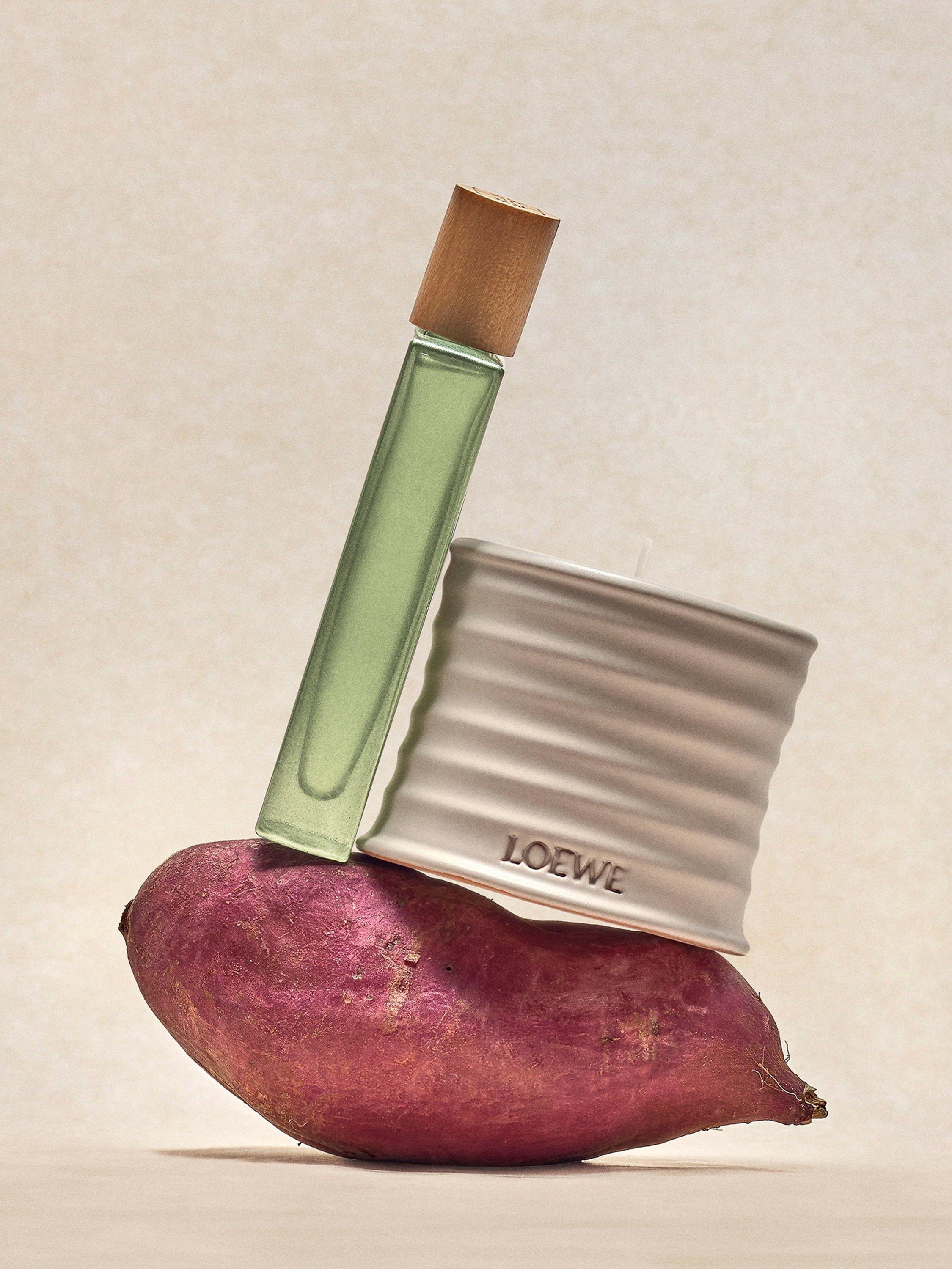 LOEWE Oregano Duftkerze 2120g - Britisches Produkt