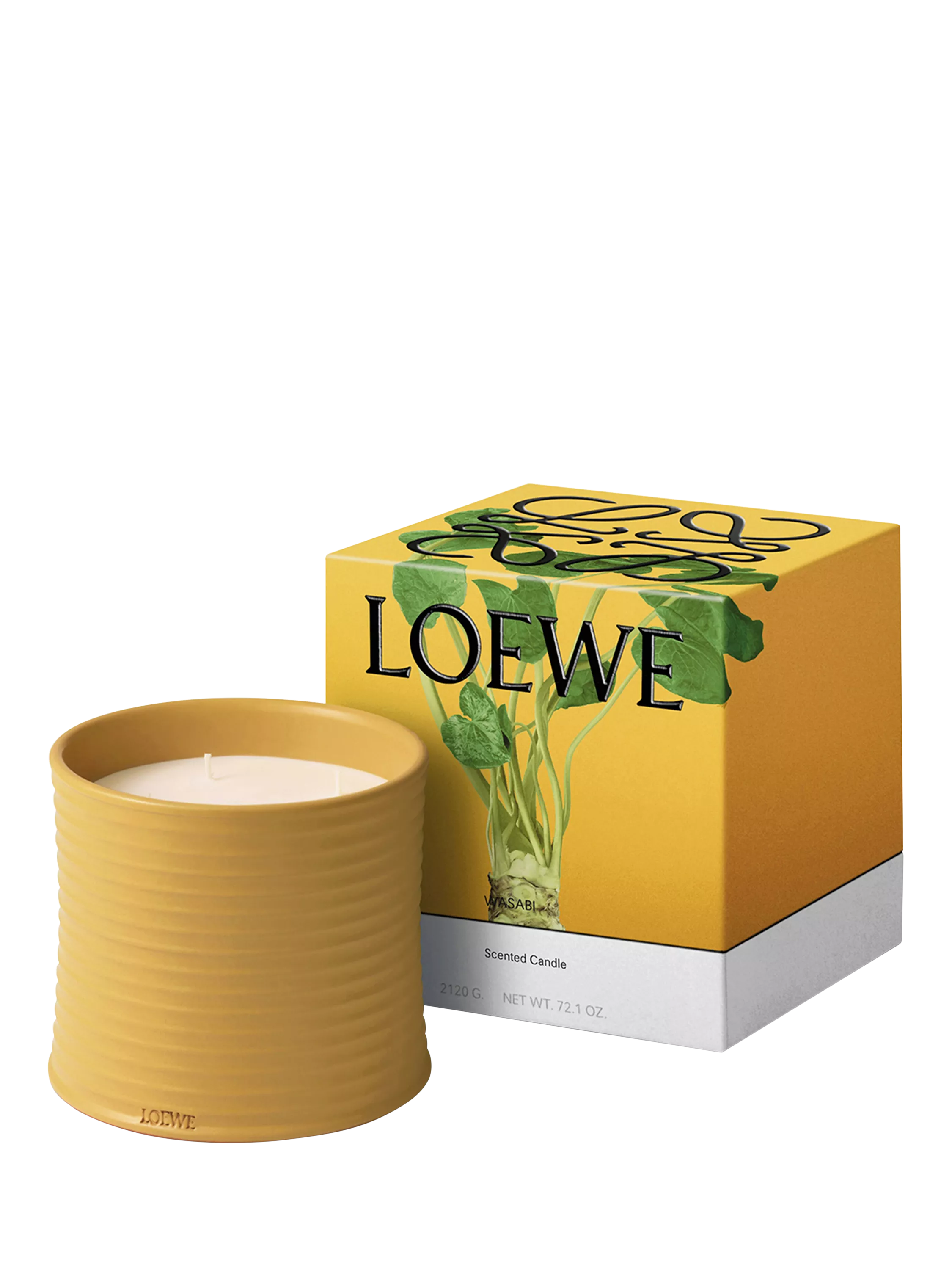 LOEWE wasabi scented candle in yellow-glazed terracotta, UK version