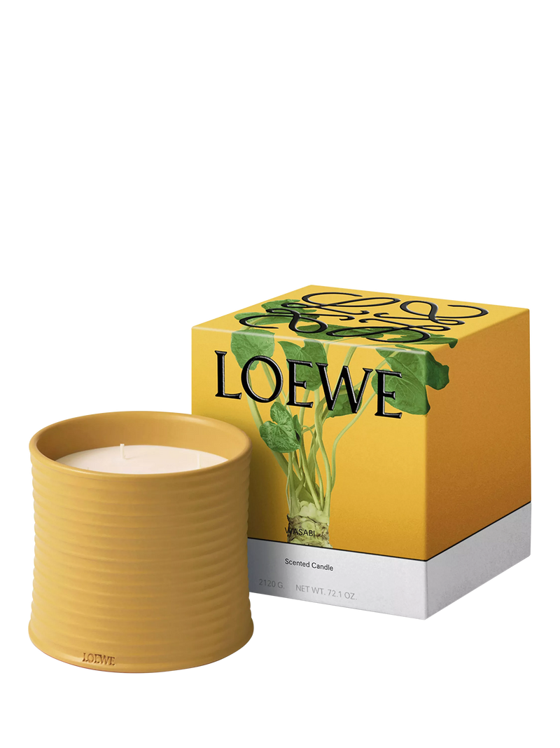 LOEWE wasabi scented candle in yellow-glazed terracotta, UK version