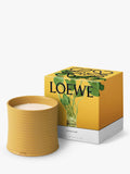 LOEWE wasabi scented candle in yellow-glazed terracotta, UK version