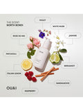 OUAI Anti-Frizz Crème 177 ml - Britisches Produkt
