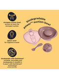 Vital Baby power suction bowl in natural berry for toddler feeding (British brand)