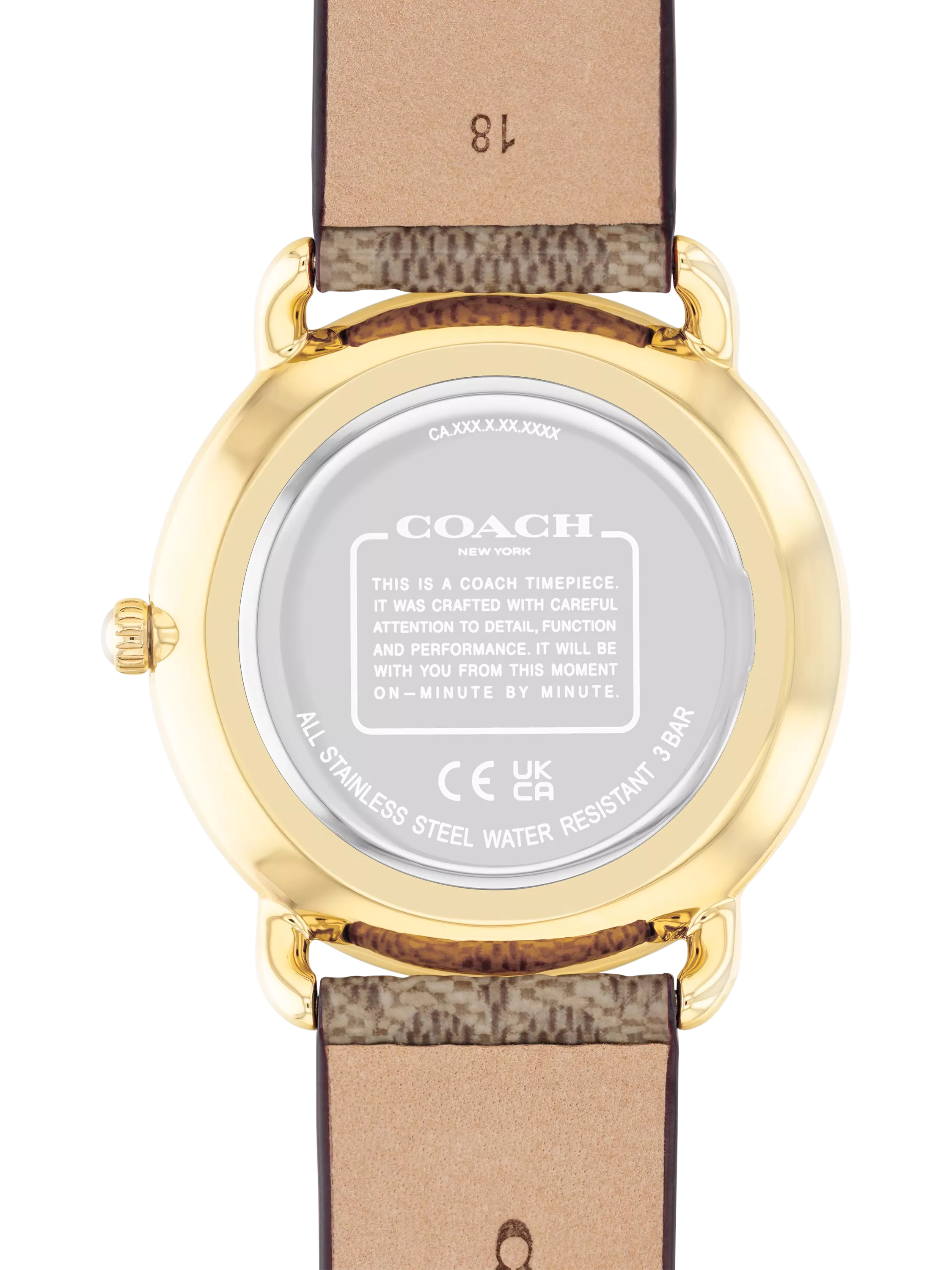 Coach Elliot watch with brown strap and silver dial, UK version