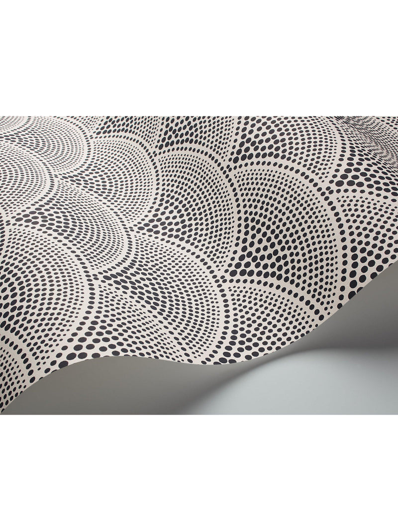 Cole & Son Feather Fan wallpaper 10m roll, imported from the UK
