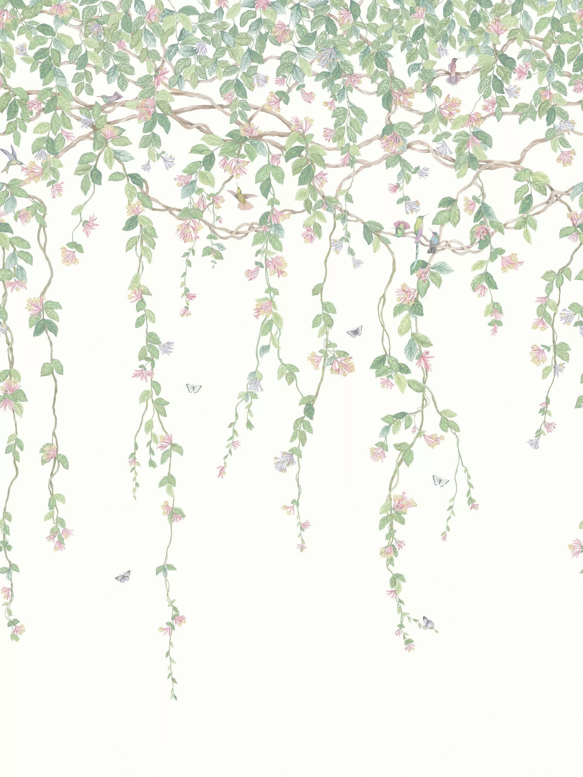 Cole & Son Kolibris Flora Tapetenpaneel 2,1 m, britische Version