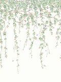 Cole & Son Kolibris Flora Tapetenpaneel 2,1 m, britische Version