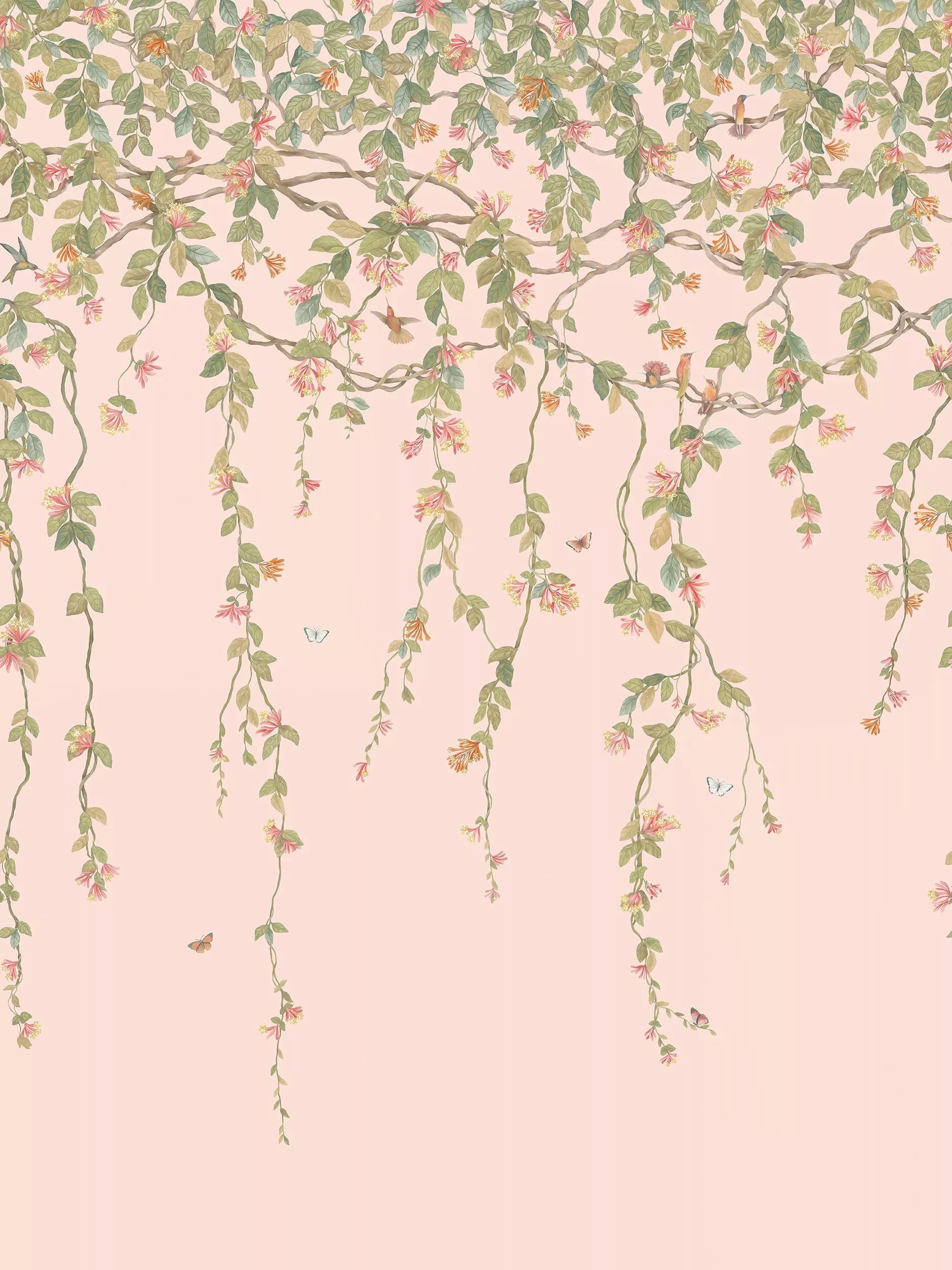 Cole & Son Kolibris Flora Tapetenpaneel 2,1 m