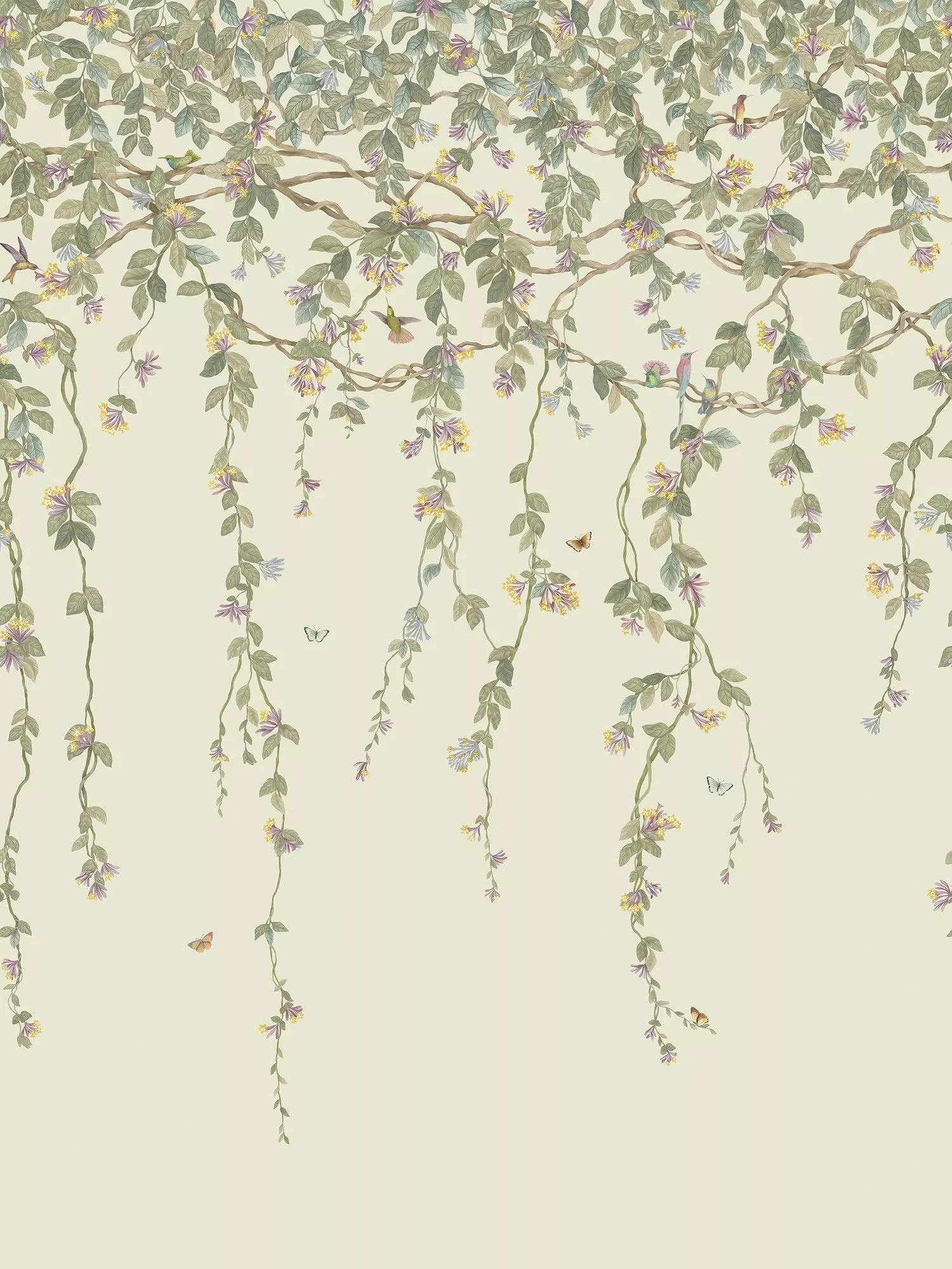 Cole & Son Kolibris Flora Tapetenpaneel 2,1 m