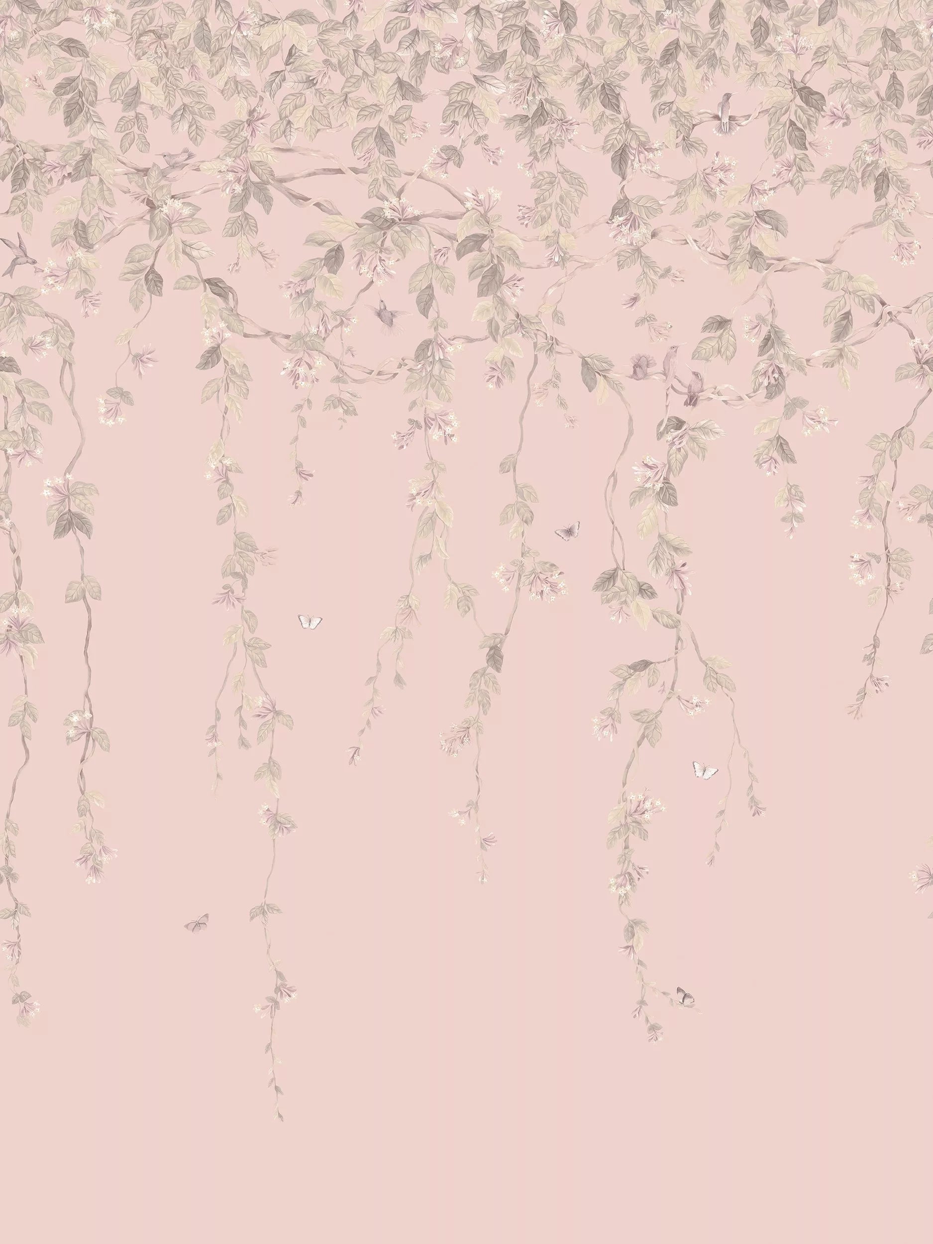 Cole & Son Kolibris Flora Tapetenpaneel 2,1 m