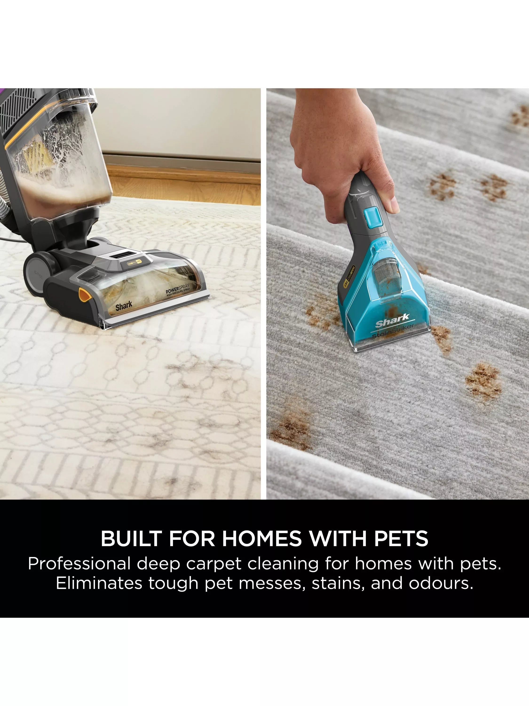Shark CarpetXpert HairPro Pet Vacuum Cleaner Charcoal Fuchsia (British brand)