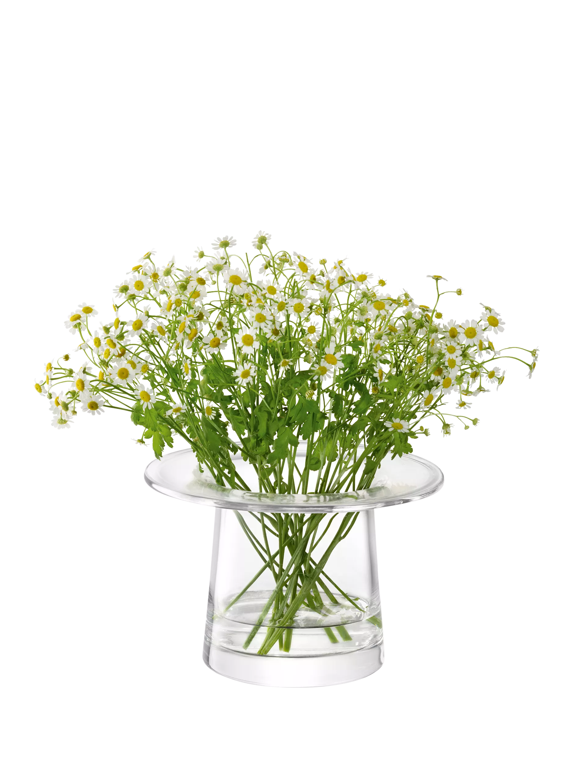 LSA International Victoria small glass vase lantern (British brand)