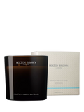 Molton Brown Coastal Cypress and Sea Fennel candle (British brand)