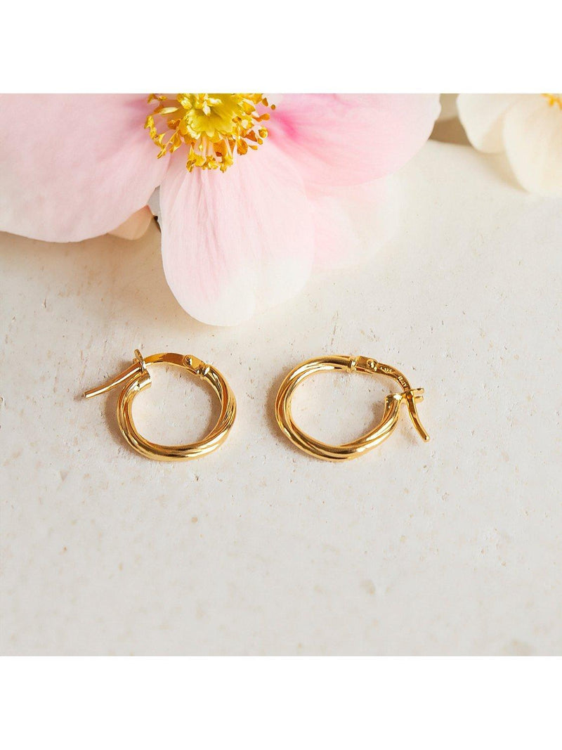 IBB 9ct gold polished twist hoop earrings (British brand)