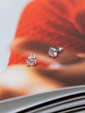 IBB stud earrings cubic zirconia round (British brand)