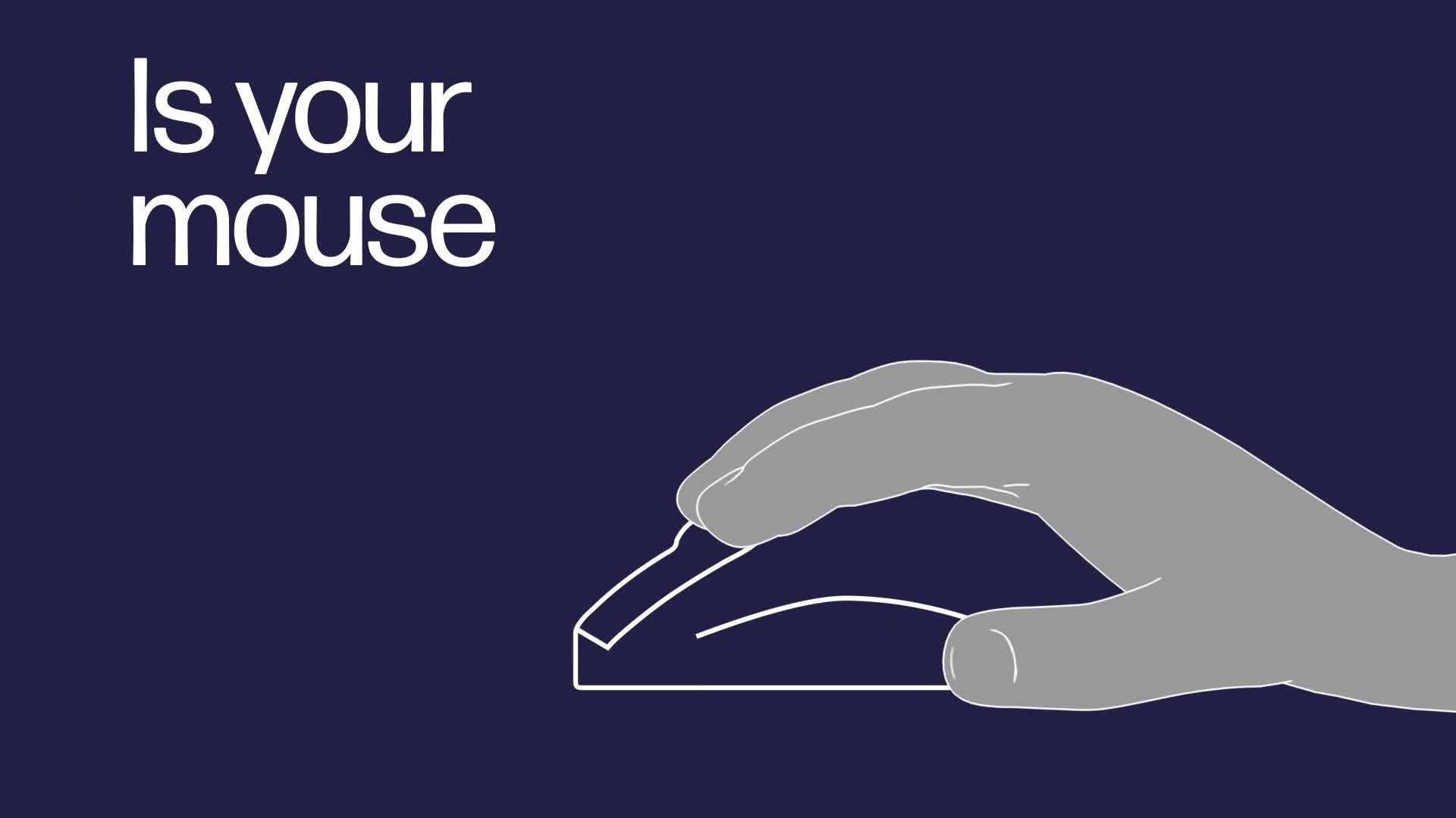 HP ergonomic wireless mouse 920 - British brand