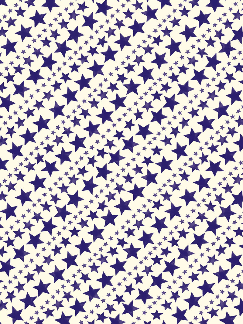 Emma Bridgewater star wrapping paper L3m - British product