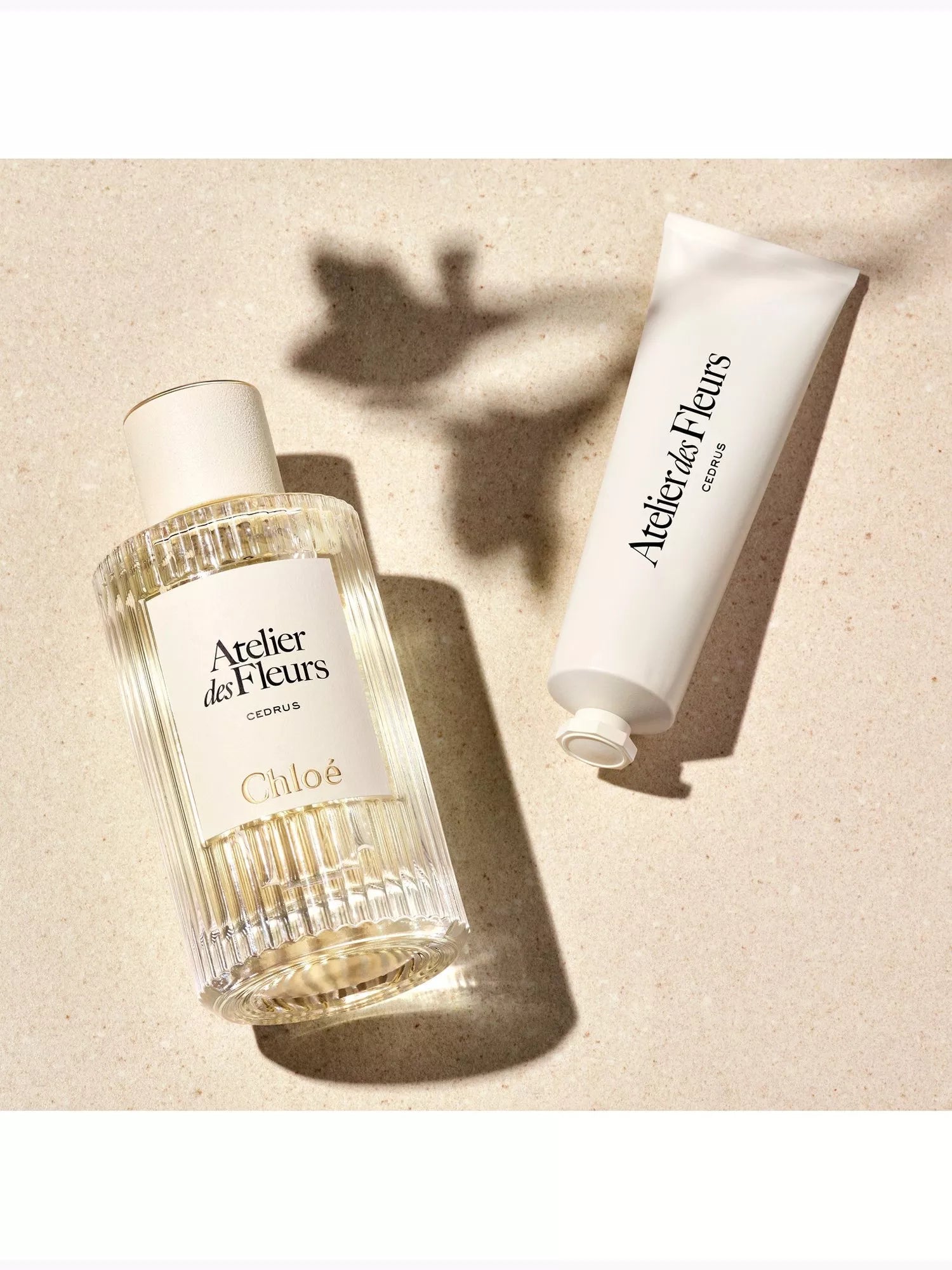 Chloé Atelier des Fleurs Cedrus hand cream 50ml, UK version