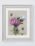 John Lewis Nicola Jane Rowles 'Bee' Framed Print & Mount, 35 x 29cm, Grey