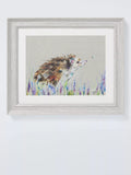 John Lewis Nicola Jane Rowles 'Hedgehog' Framed Print & Mount, 29 x 35cm, Grey