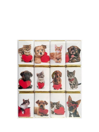 House of Dorchester Hunde & Katzen Valentinstag Milchschokolade Slims, Packung mit 12, 120g