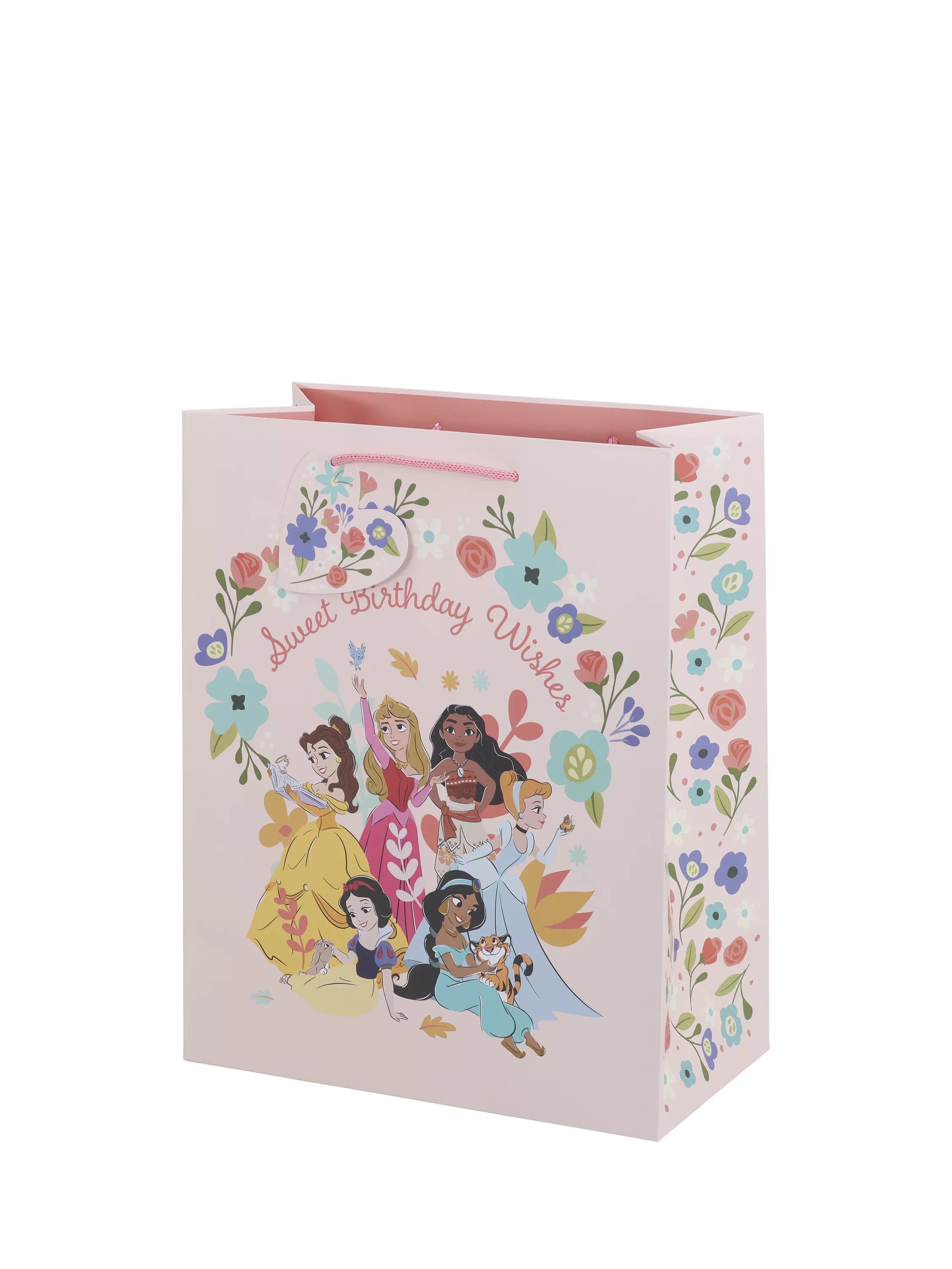 Disney Princess birthday gift bag medium (British brand)