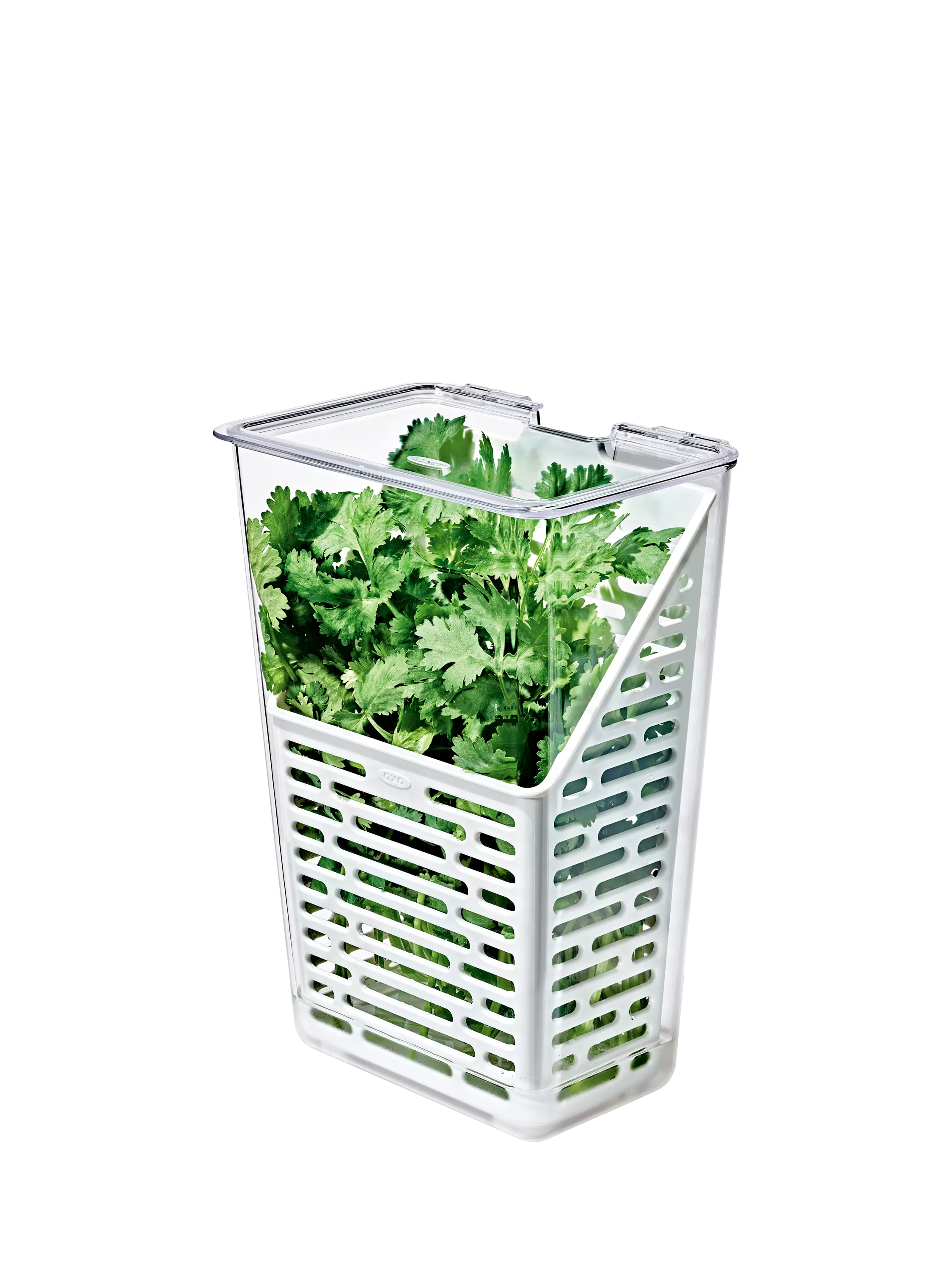 OXO Herb Keeper white clear kitchen storage (British brand)