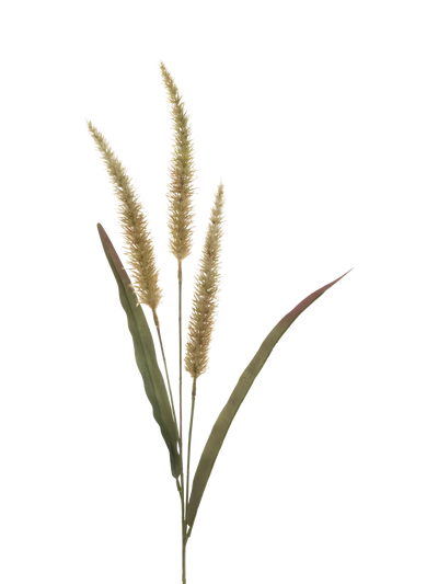 John Lewis Floralsilk Artificial Antique Fountain Grass 94cm- Buy online at McGrocer