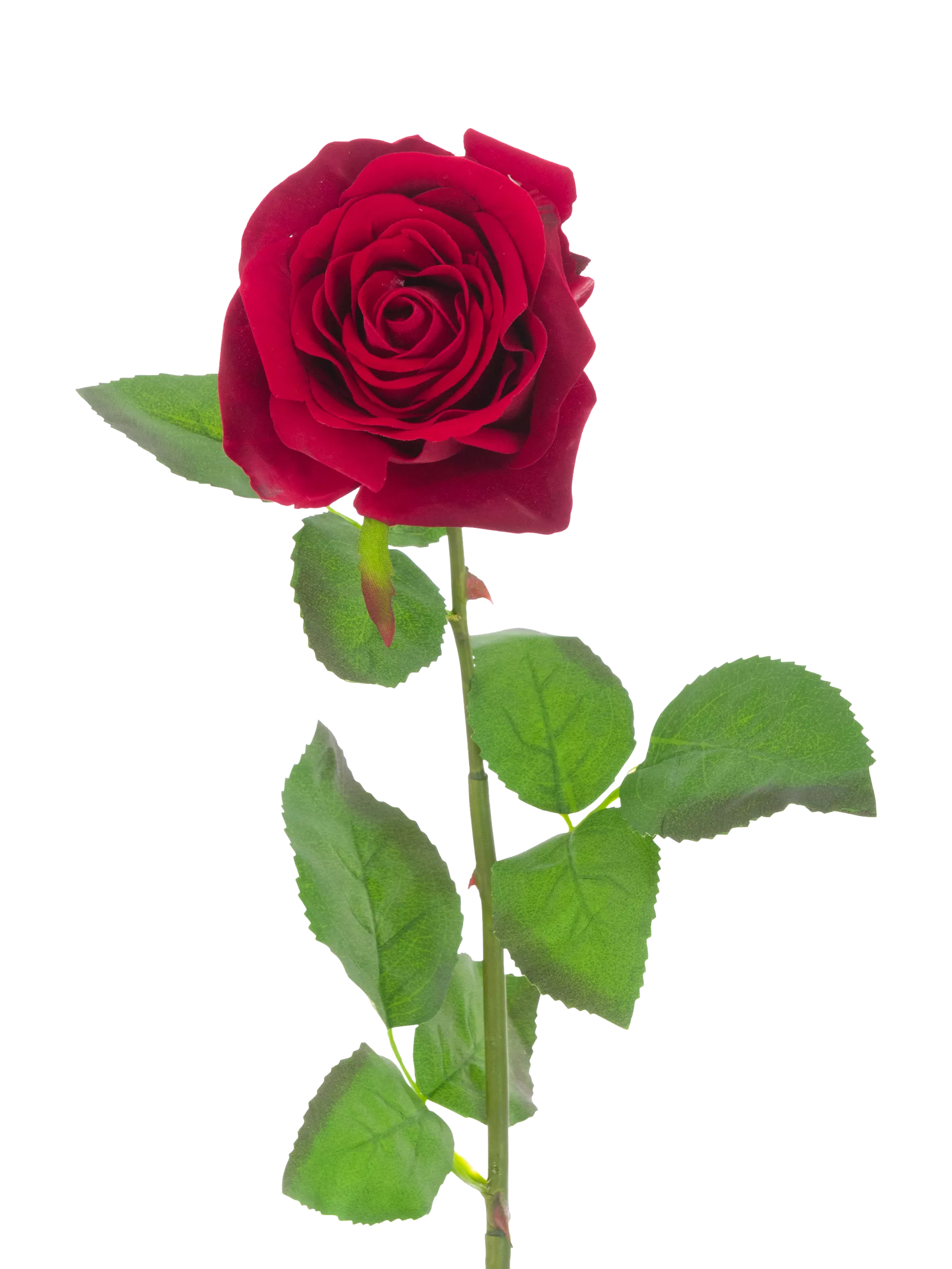 Floralsilk artificial velvet rose 71cm red (British brand)