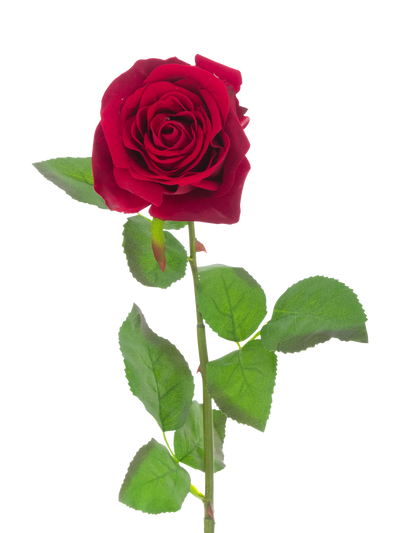 John Lewis Floralsilk Artificial Large Belle Velvet Rose 71cm Red- Buy online at McGrocer