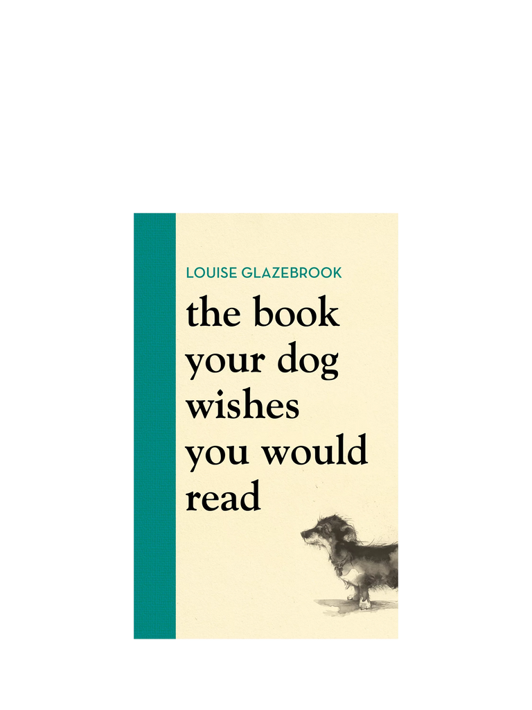 Hachette Book Group Workman Dog Wishes You Would Read Book