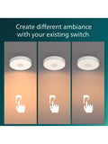 Philips SceneSwitch 24W LED ceiling light (British brand)