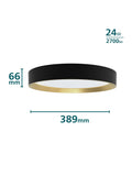 Philips SceneSwitch Hanno LED ceiling light 24W 38.4cm, imported from the UK