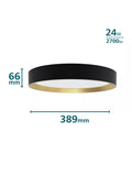 Philips SceneSwitch Hanno LED ceiling light 24W 38.4cm, imported from the UK