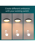 Philips SceneSwitch Hanno LED ceiling light 24W 38.4cm, imported from the UK