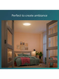 Philips Moire CL200 LED ceiling light 17W (British brand)