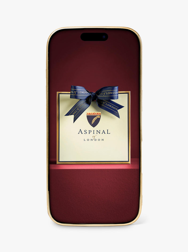 Aspinal of London leather iPhone 16 Pro case, imported from the UK